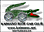  Kaimano Slot Car Club 